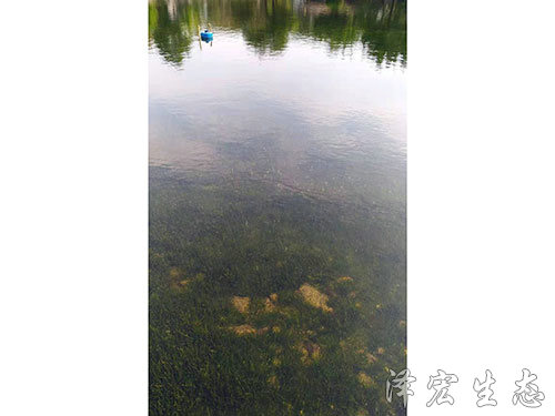 順德某公園項目