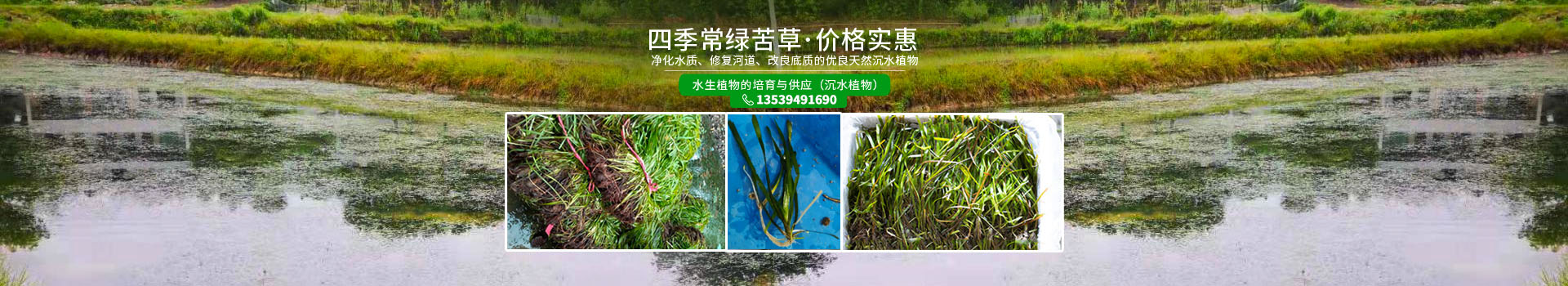 湖南澤宏生態(tài)科技有限公司_長沙水環(huán)境流域生態(tài)治理|長沙水污染防治|長沙水體生態(tài)修復