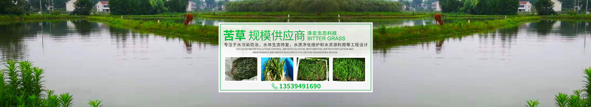 湖南澤宏生態(tài)科技有限公司_長沙水環(huán)境流域生態(tài)治理|長沙水污染防治|長沙水體生態(tài)修復